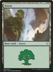 Forest (33)